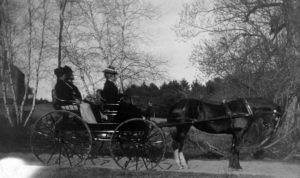 A horse-drawn carriage with a dark horse standing still, three women in nineteenth century dress, sitting in the carriage, and trees in the background.