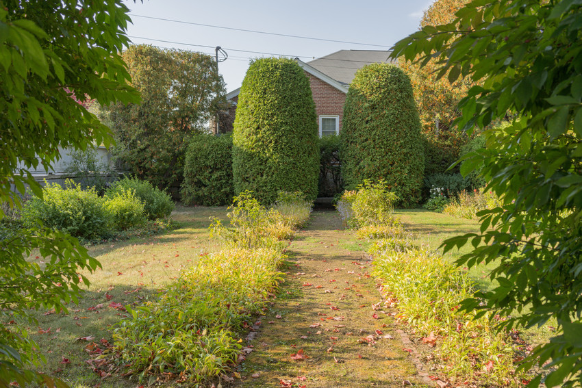 View of garden in autumn, symmetrical, with a wide path on either side of which are two rows of plantings separated by lawn. A modern brick building is seen in the background.