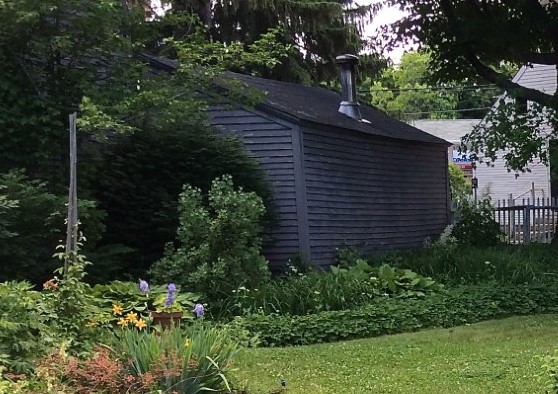 A small clapboarded outbuilding in a garden with trees overhead and a small part of a fence seen in the background.